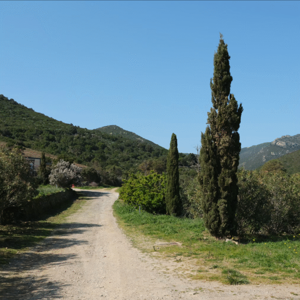 camping vista mare cap corse chemin vue colines