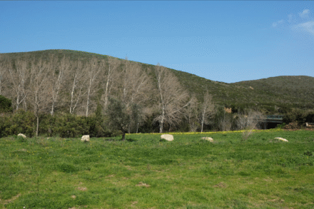 camping vista mare cap corse nature vue coline