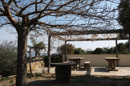 camping vista mare cap corse repas vue mer
