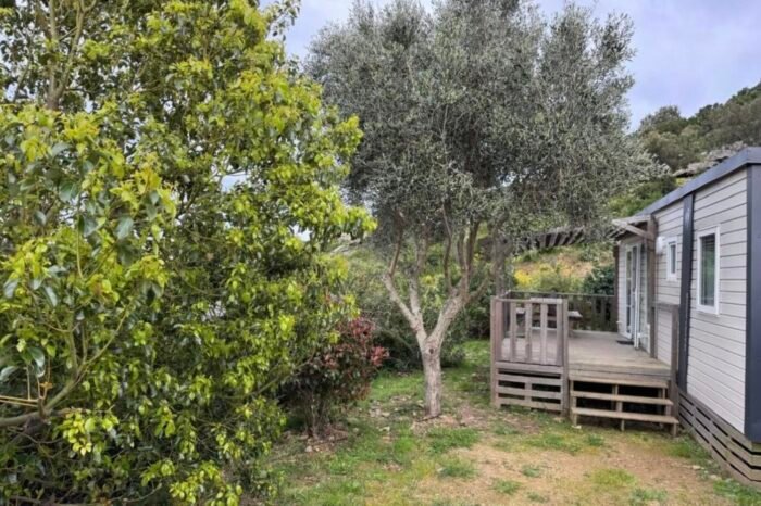 Capture decran 2025 11 21 a 15.24.06