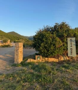 IMG 4681 e1763327811300